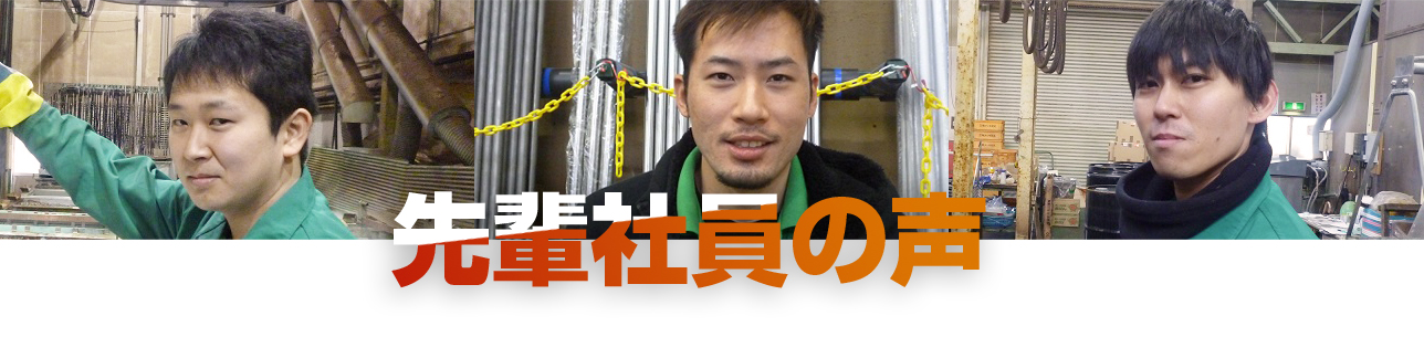 先輩社員の声
