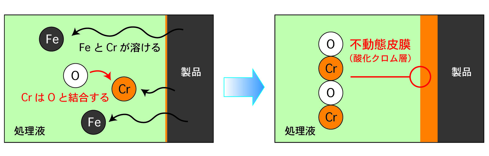 不動態化皮膜